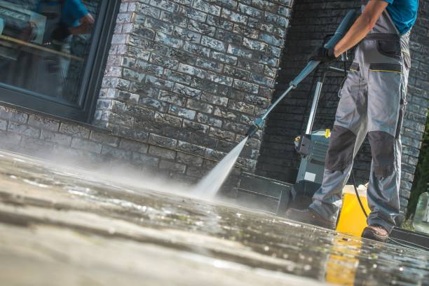 Best Gutter Cleaning  in Lake Holiday, IL
