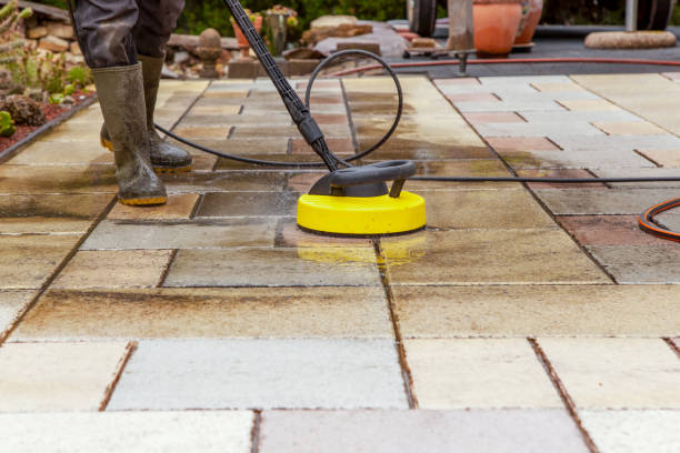 Best Pre-Holiday Cleaning  in Lake Holiday, IL